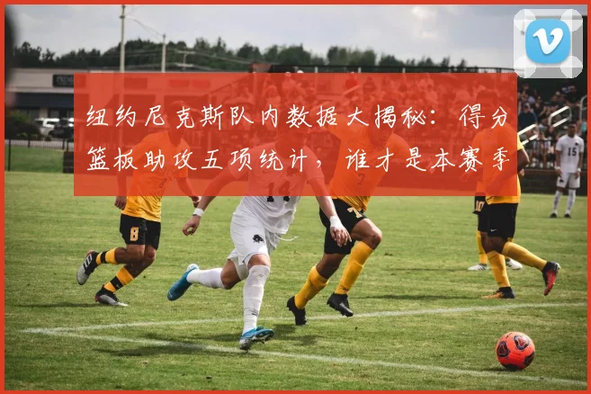 纽约尼克斯队内数据大揭秘:得分篮板助攻五项统计,谁才是本赛季的真实王者?
