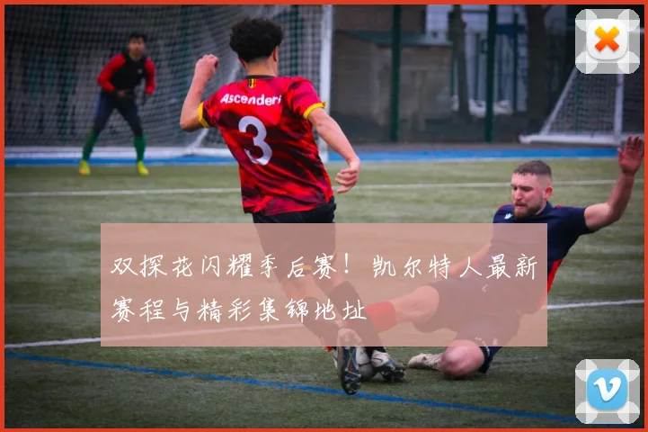 双探花闪耀季后赛！凯尔特人最新赛程与精彩集锦地址